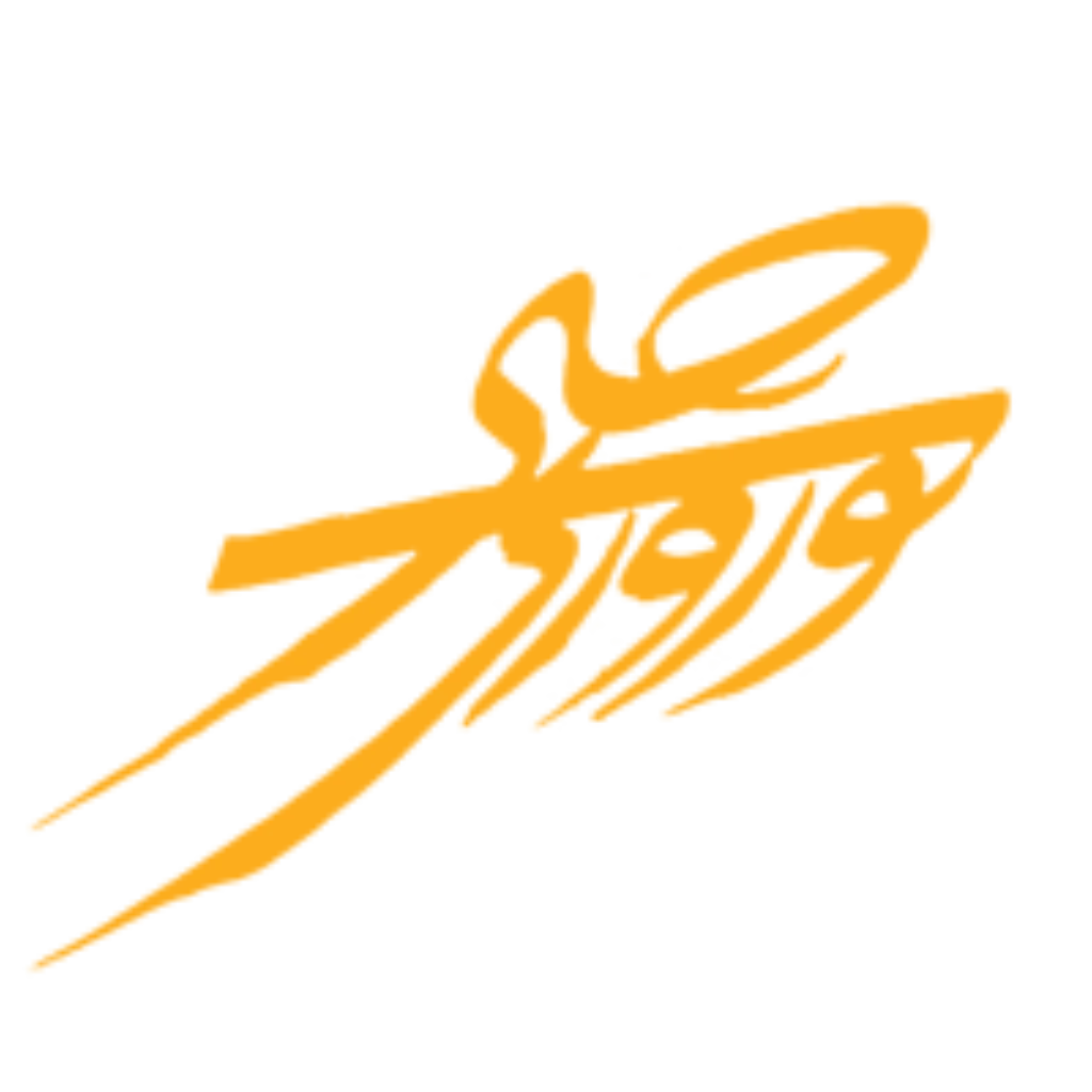 logo-hosseinnorouzi-min
